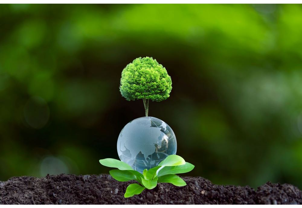 Poticaji za obnovljivu toplinsku energiju: utjecaj kotlova na biomasu na emisije CO₂